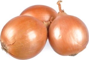 Цибуля