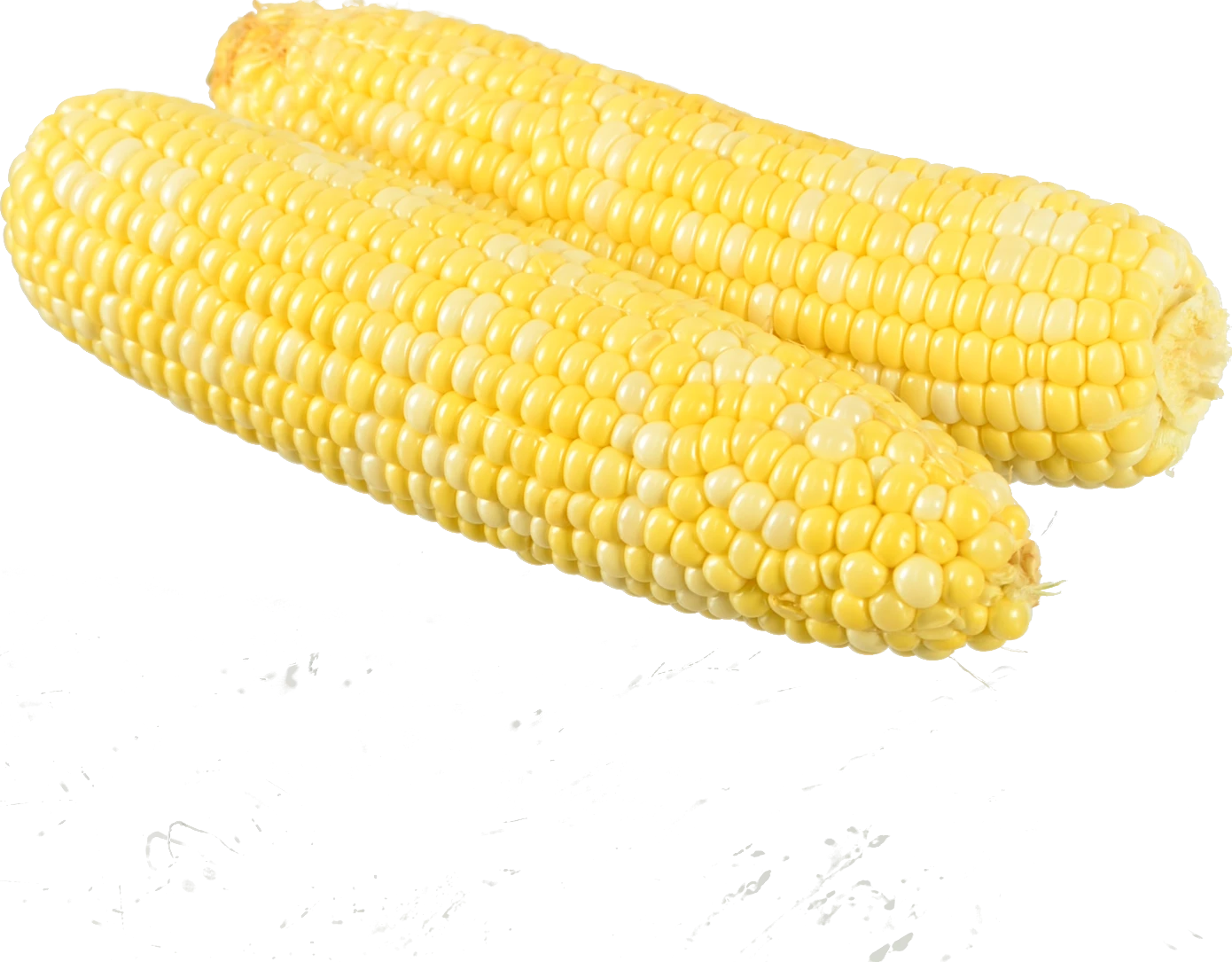Кукурудза молода