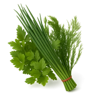 Зелень та салати