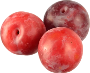 Слива Україна