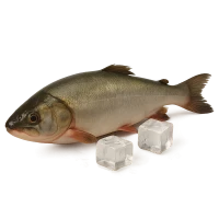 Риба охолоджена