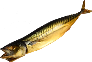 Скумбрія Green Marine ц.р. х.к. 400-600