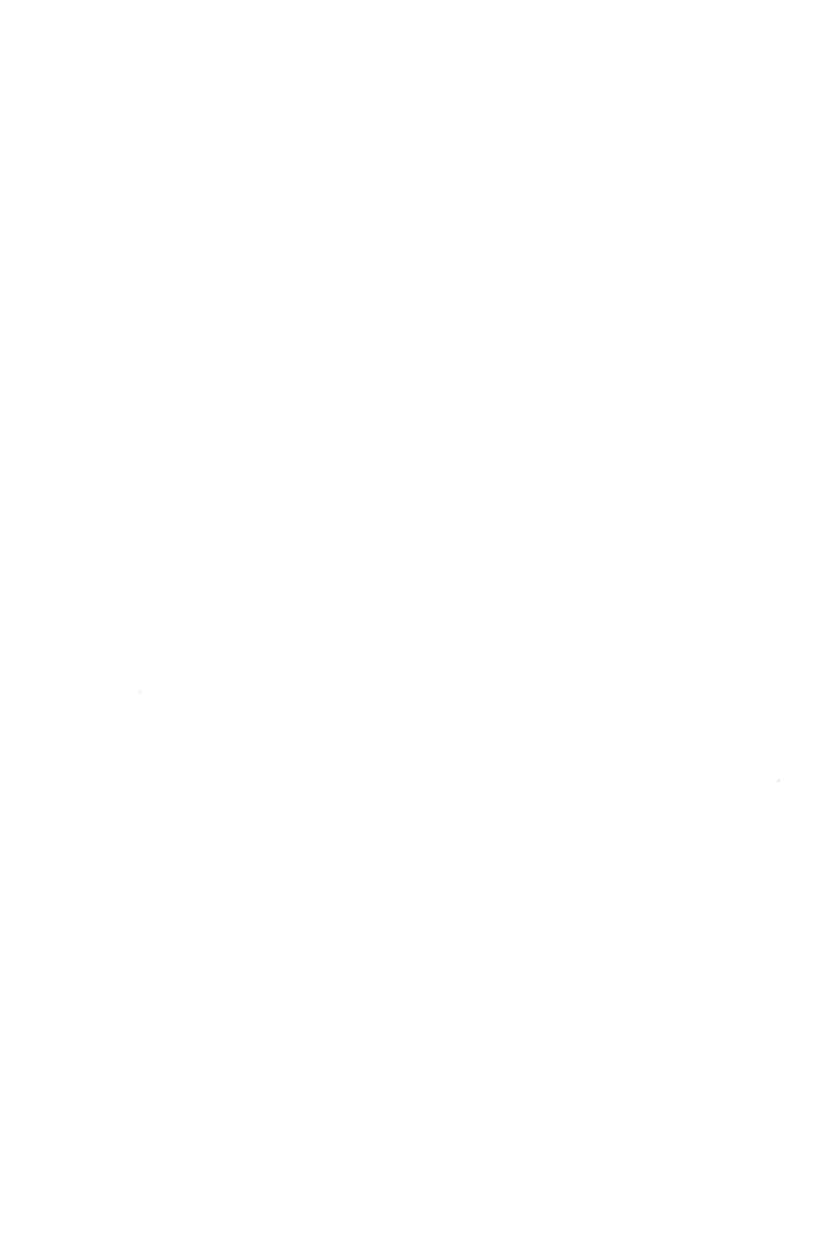 Мандарини Клементин - Акція