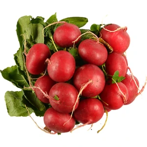 Редиска пучок