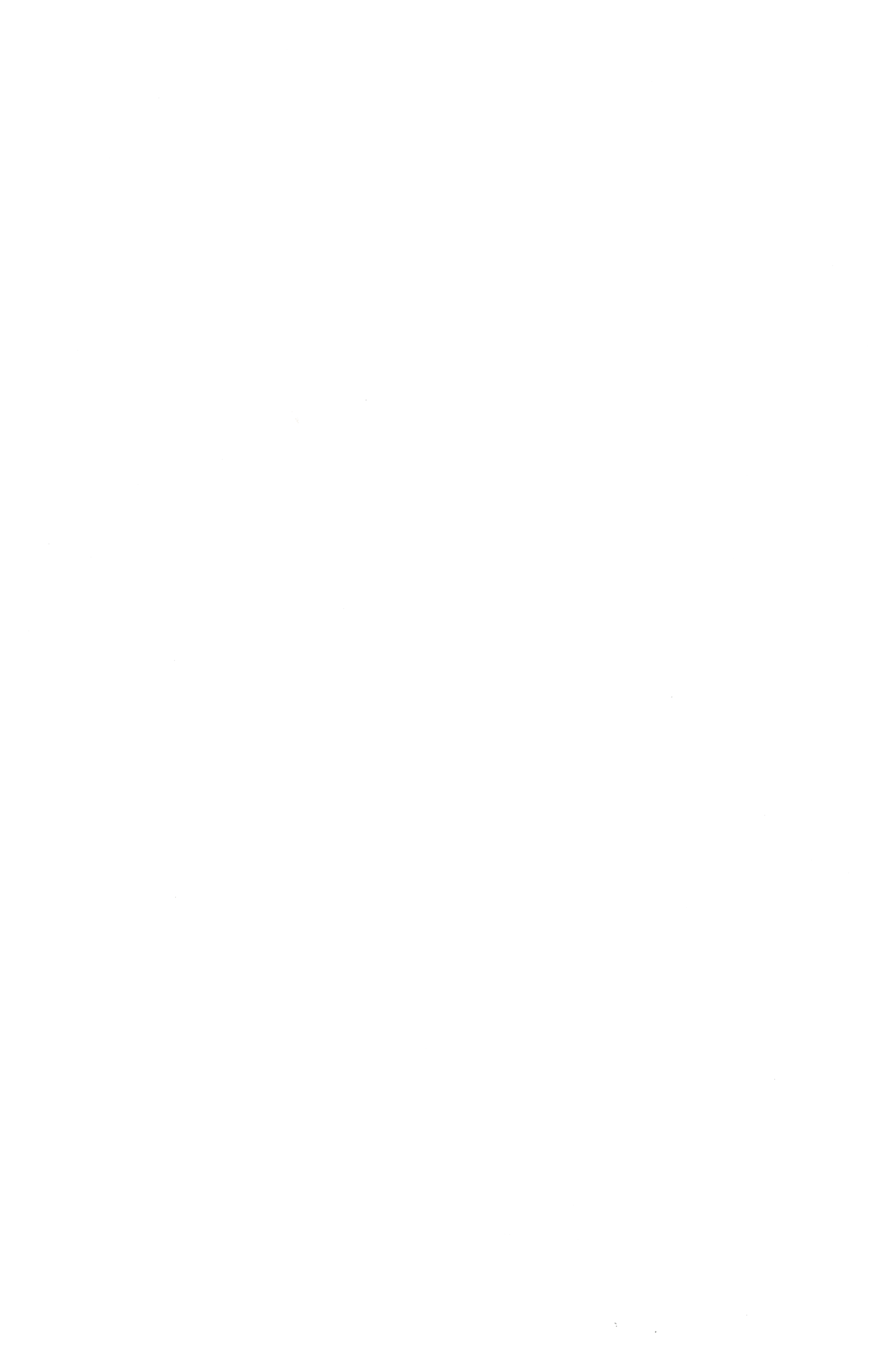 Цибуля молода 50 г