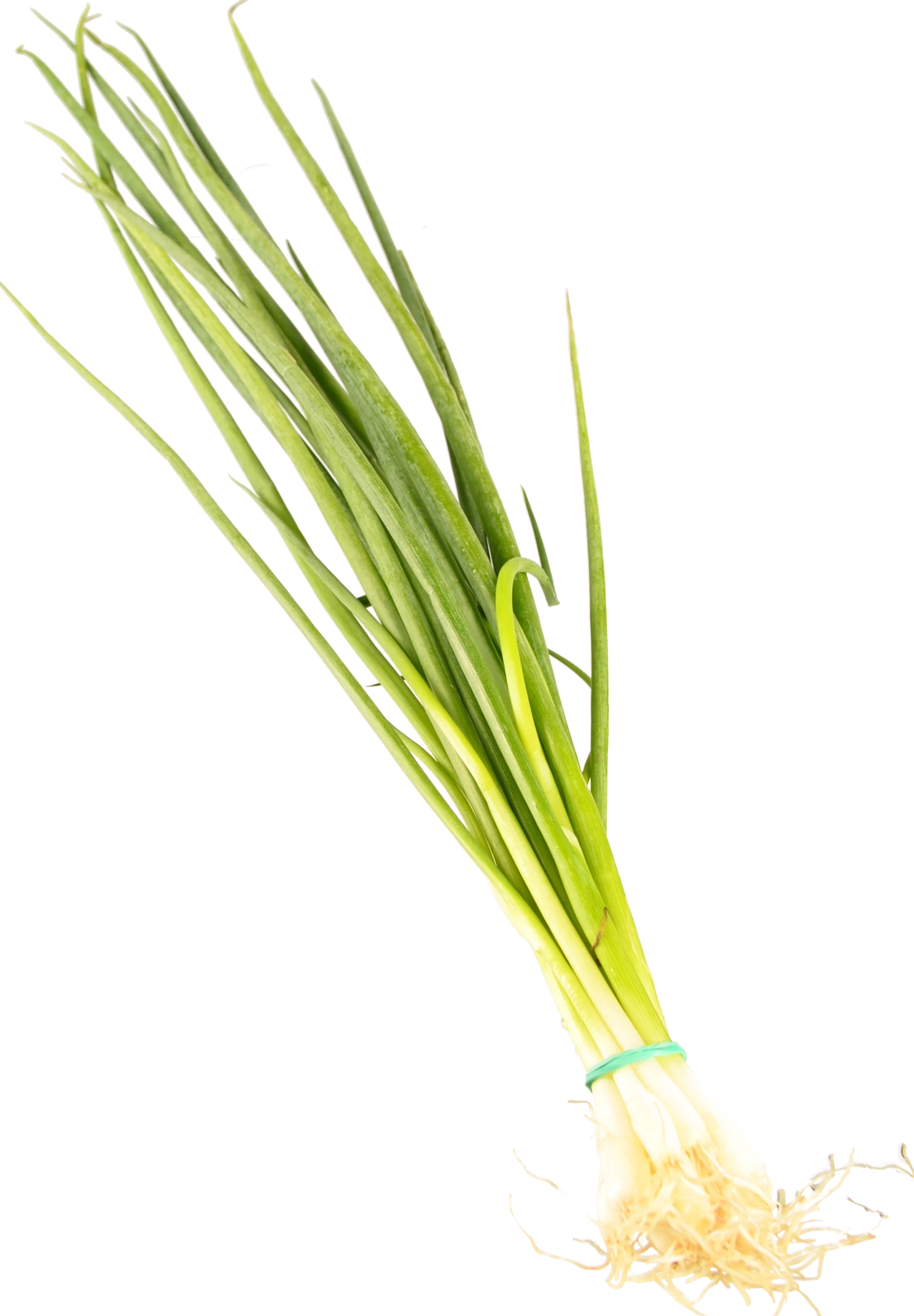 Цибуля молода 50 г