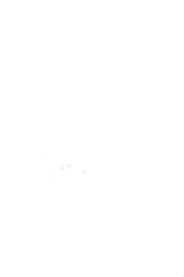 Сир Ферма сметанковий 50%