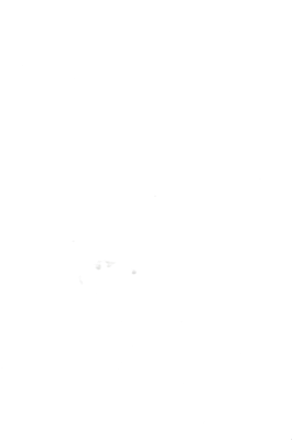 Сир Глобино Мааздам