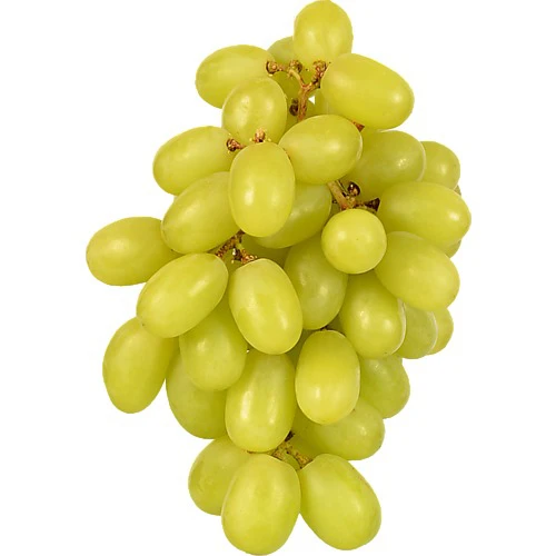 Виноград білий