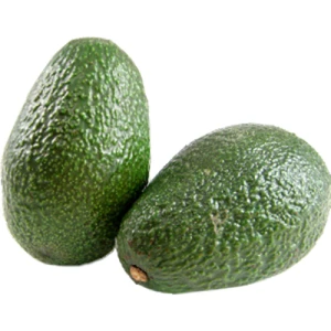 Авокадо №16