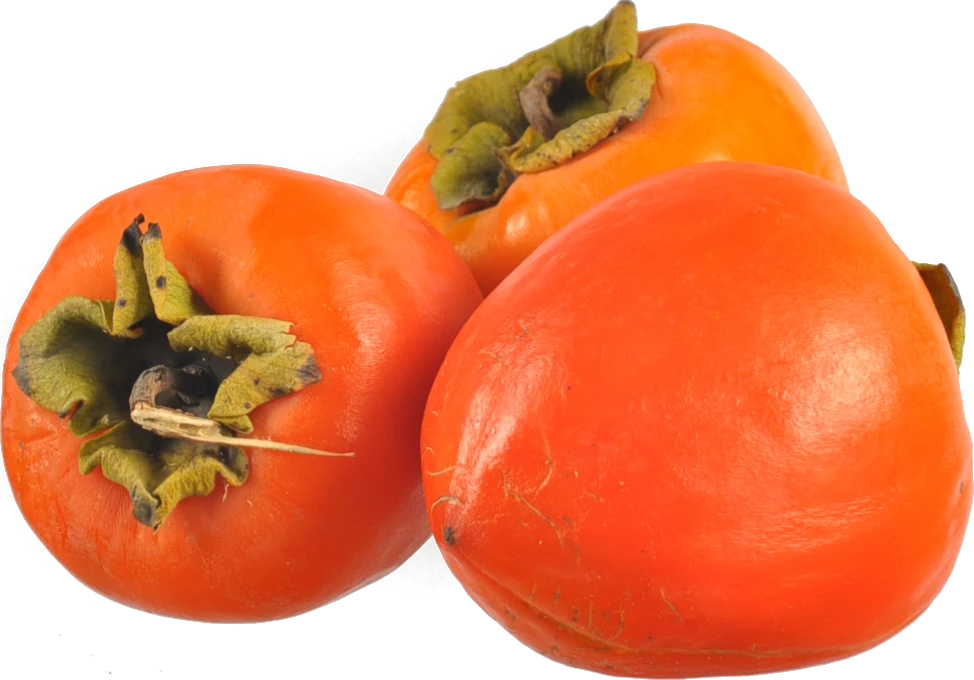 Хурма Азербайджанська