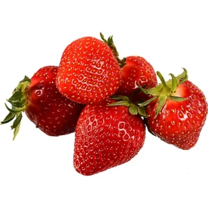 Полуниця Українська