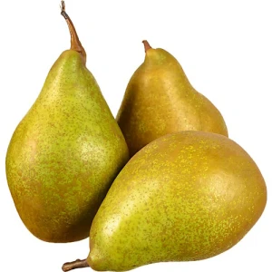 Груша Ксенія