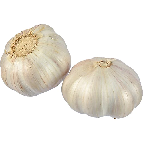 Часник ваговий