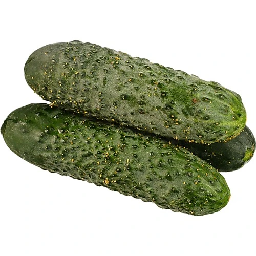 Огірок фермерський
