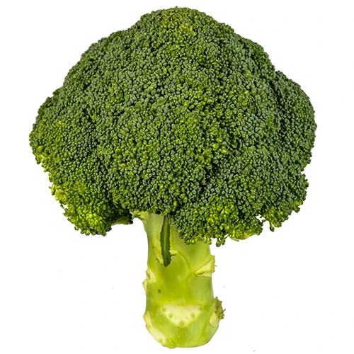 Капуста броколі