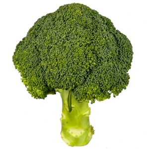 Капуста броколі