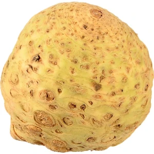 Корінь селери