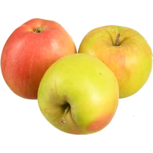 Яблука Чемпіон