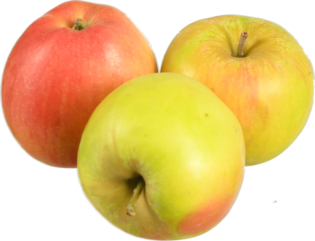 Яблука Чемпіон