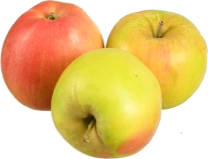 Яблука Чемпіон