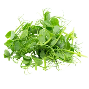 Мікрозелень гороху