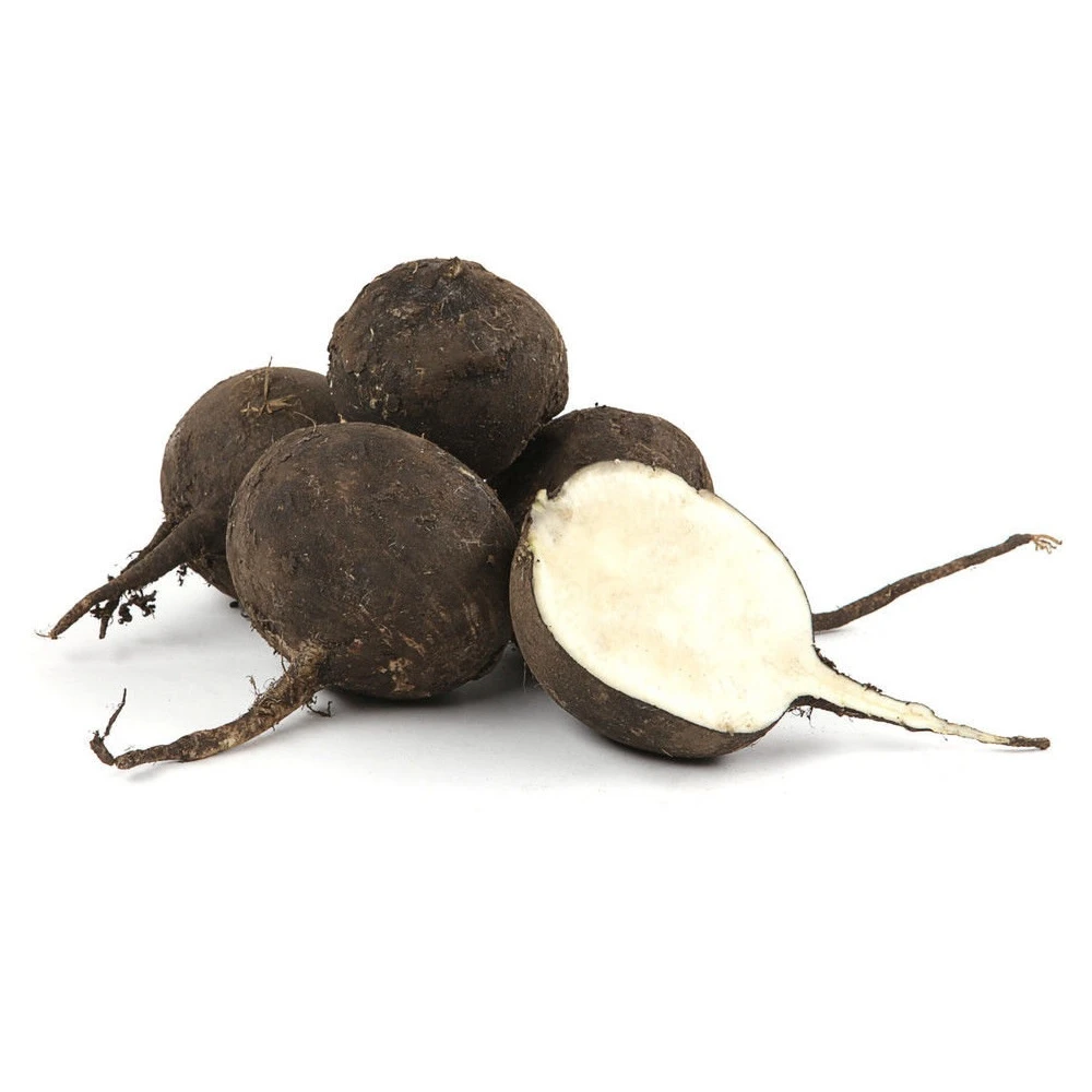 Редька чорна