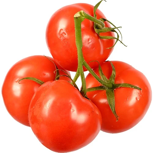 Помідори Україна червоні на гілці