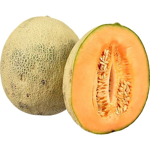 Диня Канталупа