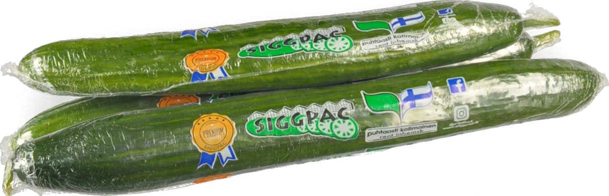 Огірок Туреччина гладкий