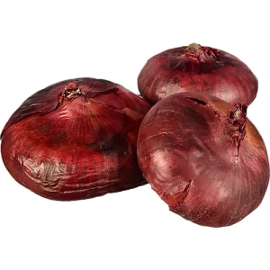 Цибуля ялтинська