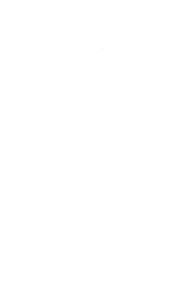 Ковбаса «Любительська свиняча синюга Алан» вищий ґатунок, порційна