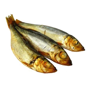 Кілька Green Marine х.к