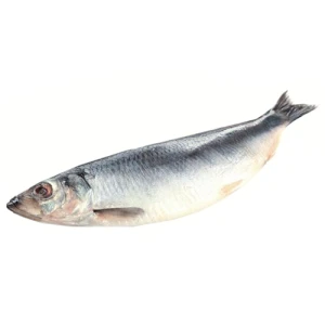 Оселедець Green Marine 400+