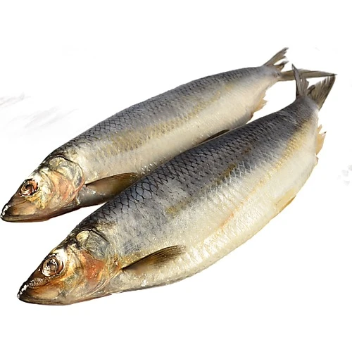 Оселедець м.с власне вир-во