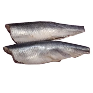 Оселедець Волков м.с.