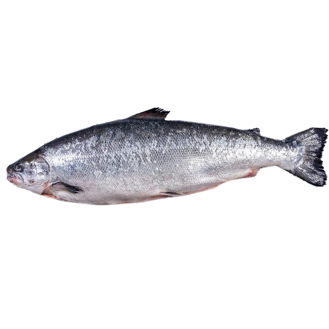 Лосось (Сьомга) Тушка