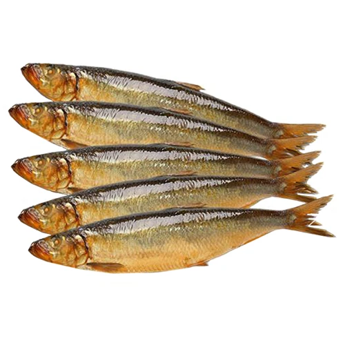 Салака Волков шведська х.к