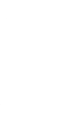 Оселедець матіас