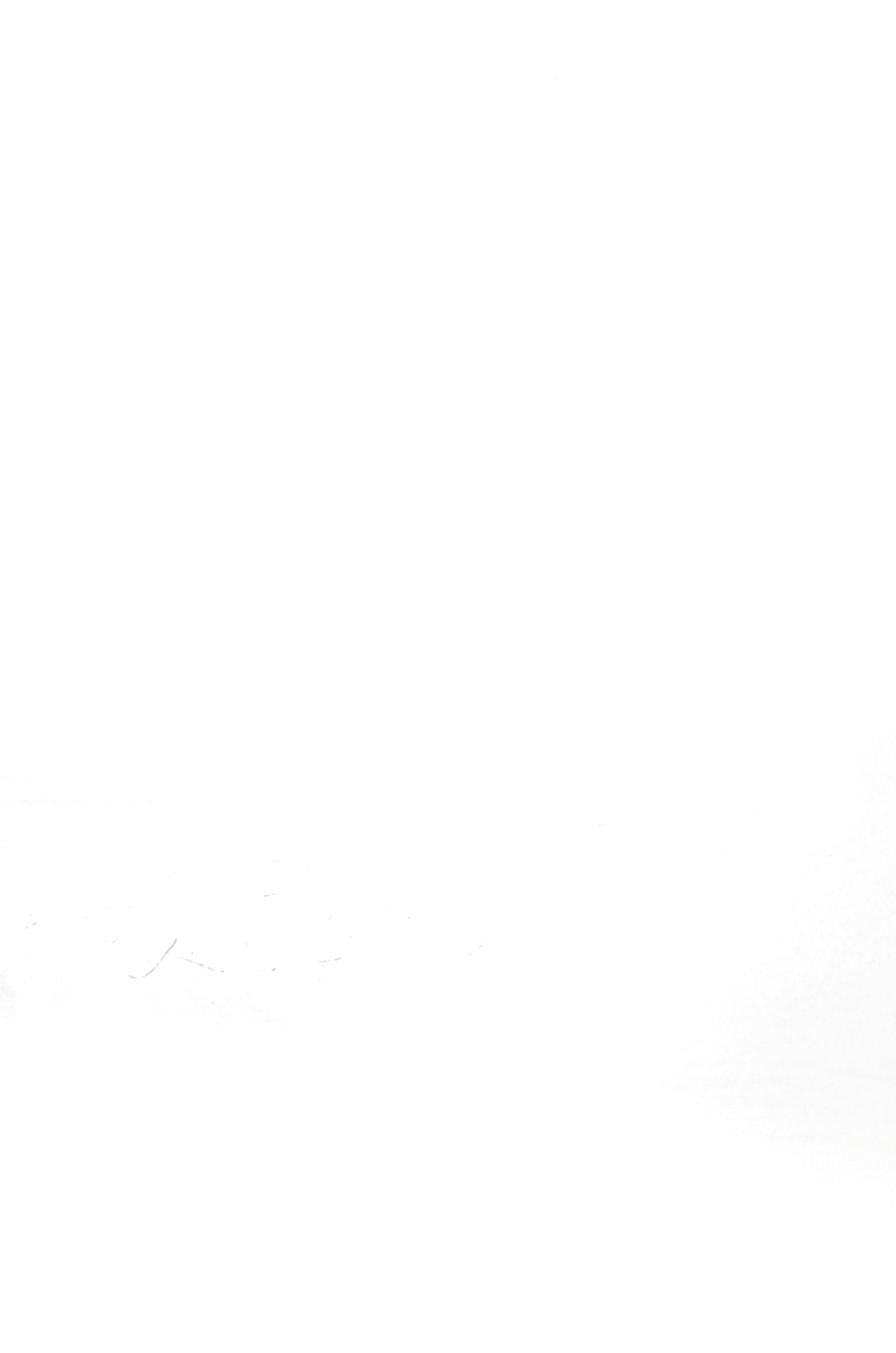 Креветка Norven 400г варена ціла Vannamei Єквадор