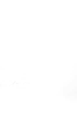 Креветка Norven 400г варена ціла Vannamei Єквадор