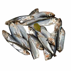 Кілька Волков п.п