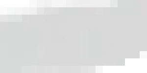 Білий амур великий свіжий