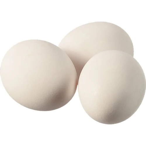 Яйце куряче