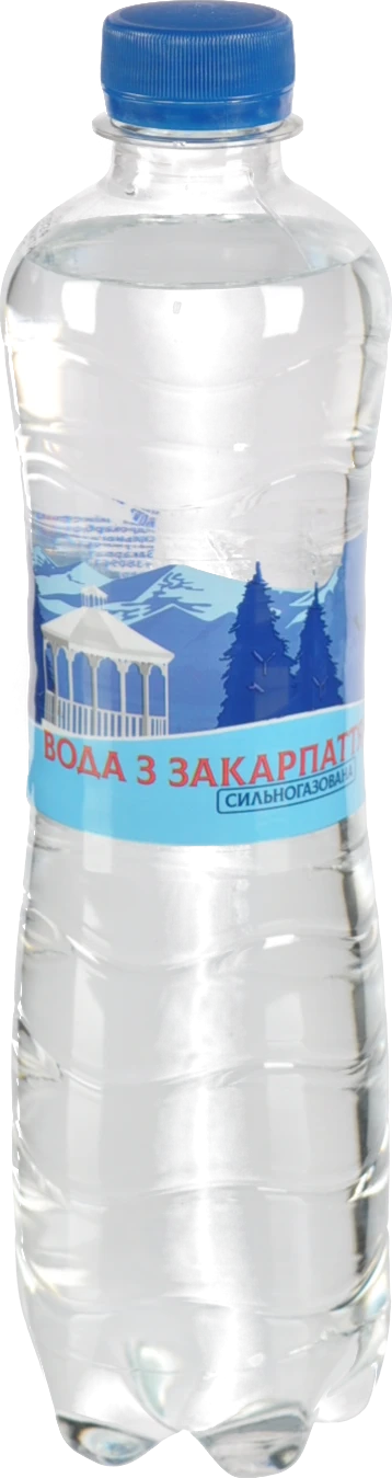 Вода Fine Waters 0.5л Закарпаття сильногазована мінеральна