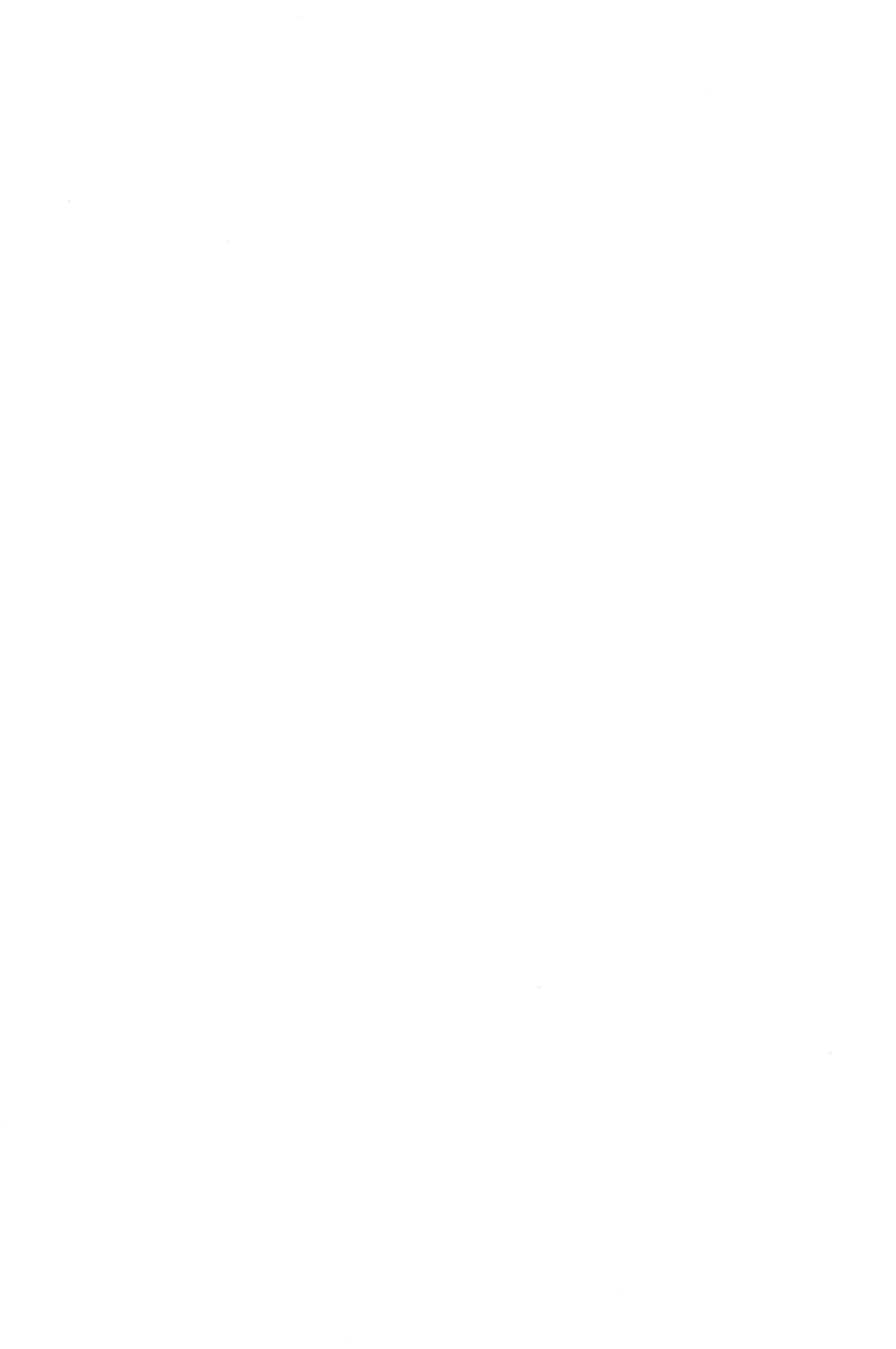 Жувальна гумка Johny Bee 40г mega roll