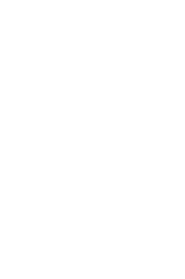 Жувальна гумка Johny Bee 40г mega roll