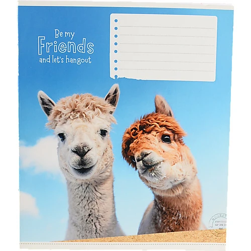 Зошит Школярик 12л лінійка