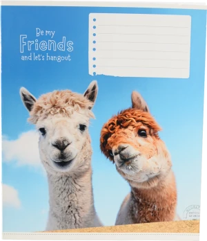 Зошит Школярик 12л лінійка