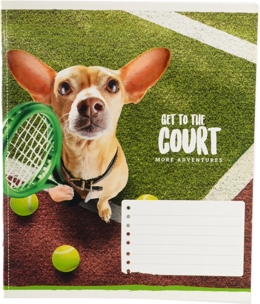 Зошит Школярик 18л лінійка